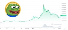5 FACTS You Need To Know About $PEPE Coin
